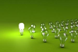 New chair for energy users group