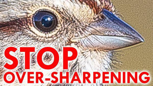 Video: How to sharpen your images correctly