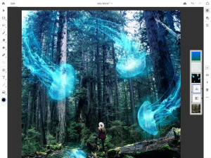 "We want more people to have access to things like Photoshop" An interview with Tom Hogarty, Senior Product Manager, Adobe