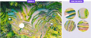 How good are your visual skills?