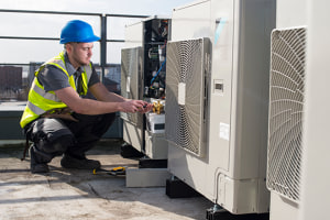 RAC plant checklist 