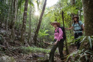 Scenic Rim Trail launches new self-guided walk