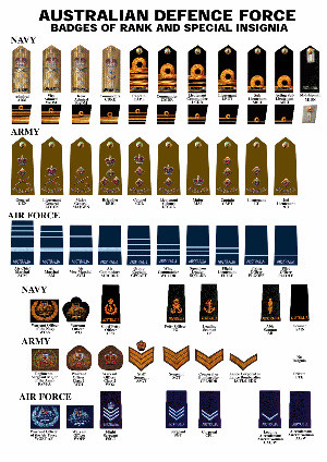 Officer numbers on the rise