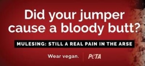 PETA Australia has latest anti-mulesing billboard rejected