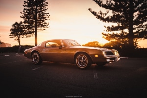 Classics continue to sell despite cost of living crisis
