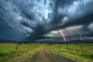 AP's free monthly photo competition December '25 - The winners!