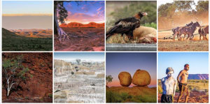 Who won our March 'Outback' photo comp?