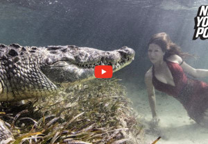 Video: Photographer shoots underwater glamour shots with crocodiles 