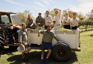 DMG Fine Wine adds Krinklewood to distribution portfolio