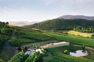 Victoria unveils five year strategy for wine industry