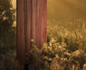 Turning wood waste into Designer HardwoodTM