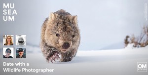 'Date' a wildlife photographer at Sydney's Maritime Museum this week