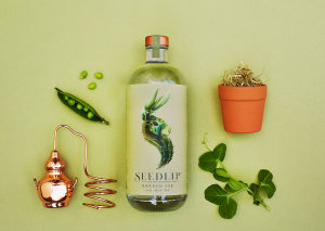 A free spirit called Seedlip
