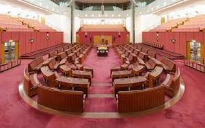 Direct Action to be tested in the Senate