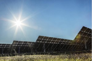 Coles increases solar commitment