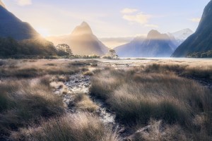 AP's free monthly photo comp March '26 - The Great Outdoors - The winners!