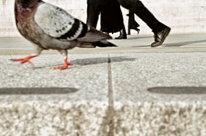 Sydney's Aussie Street photography festival kicks off this weekend