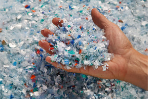 ACCC green light for soft plastic recycling scheme