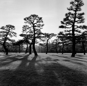 New exhibition celebrates 'old school' film and darkroom processing