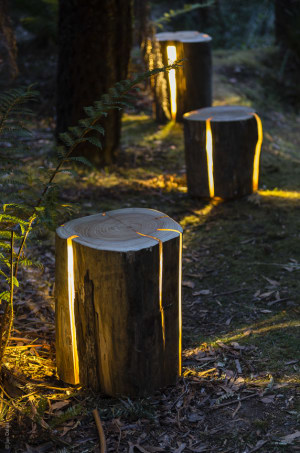Tasmanian Designer Wins International Lighting Award