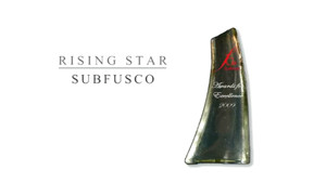 FGI Awards for Excellence - RISING STAR FINALIST: Subfusco