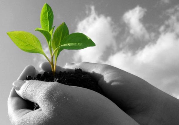 EXCLUSIVE: The APC applauds forward thinking packaging