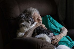 Winners announced for 2025 People First Bank Photographic Awards