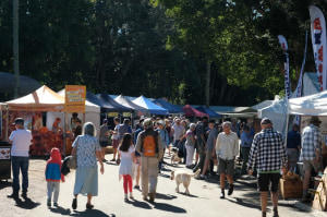 Cancelled: Maleny Wood Expo 2020