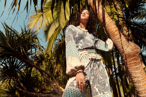 Tigerlily collapses again, administrators appointed