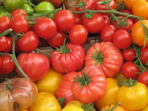 Researchers think red for can liners