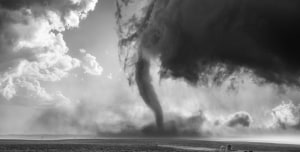 The Mono Awards 2025: A closer look at our three winners