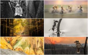 November photo comp: The Wrap up!