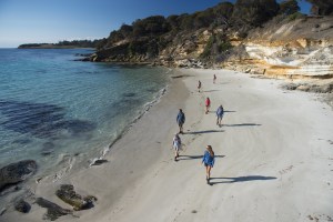 The Maria Island Walk reopening Oct 1
