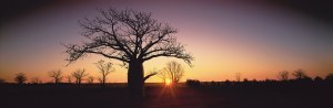 Ken Duncan launches new panoramic photography book