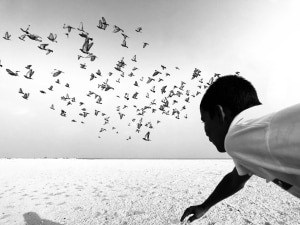 Winning images from the ninth annual International Mobile Photography Awards