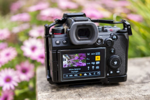 Video tips for stills shooters: Why white balance matters