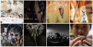 January monthly photo comp: the wrap
