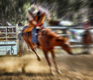 AP's free monthly photo competition November '25 - The winners!