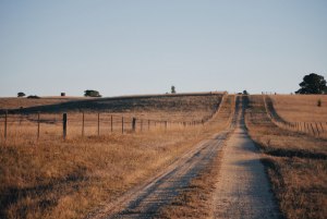 Meet the Wood Dust Team