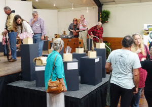 Wootha Prize 2019 award winners and gallery of entries