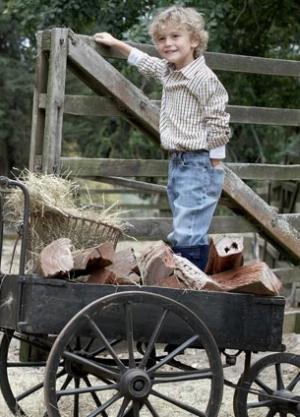 Seed sprouts new buds