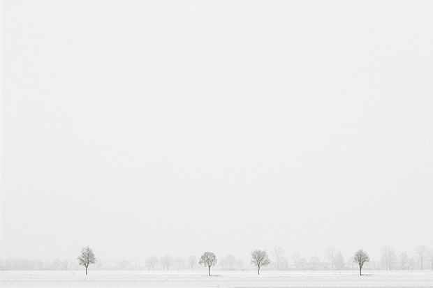 2015 Photographer of the Year: New Categories and Over $18,500 in Cash and Prizes 