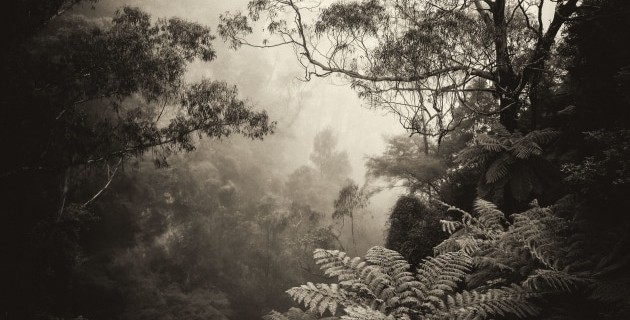 Winners announced for The Landscape Awards 2023 - Capture magazine