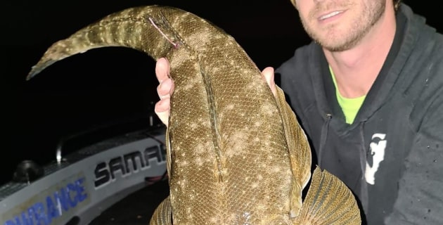 Lake Macquarie flathead caught four times in two years! - Vimarsana News