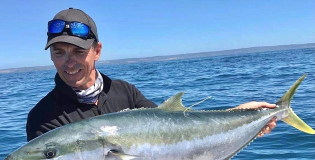Kingfish recapture demonstrates dynamic movement - Vimarsana News