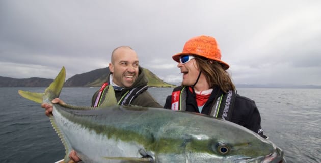 Angry Fish