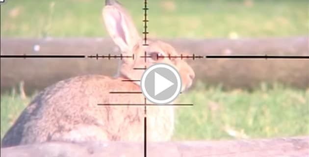 Rabbit hunting in slow motion with a high powered air gun - Sporting ...