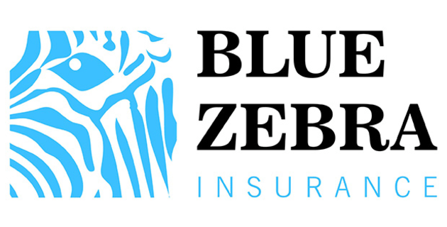 QBE to underwrite BZI - Australasian Paint & Panel
