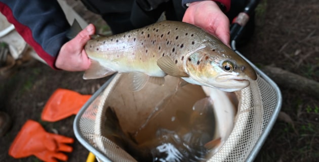 A win for anglers and threatened species - Vimarsana News