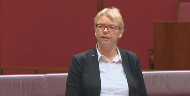 Senate Votes Down Green Objections To Civil Aviation Bill Australian 